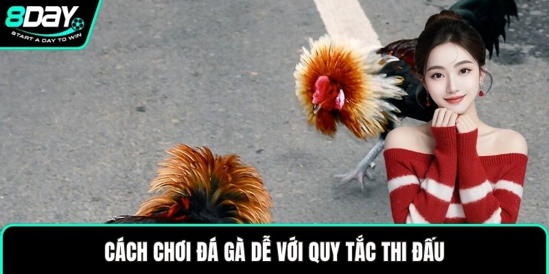Cách chơi đá gà dễ với quy tắc thi đấu