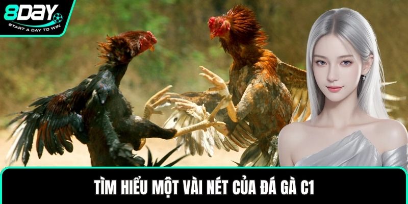 Tìm hiểu một vài nét của đá gà C1