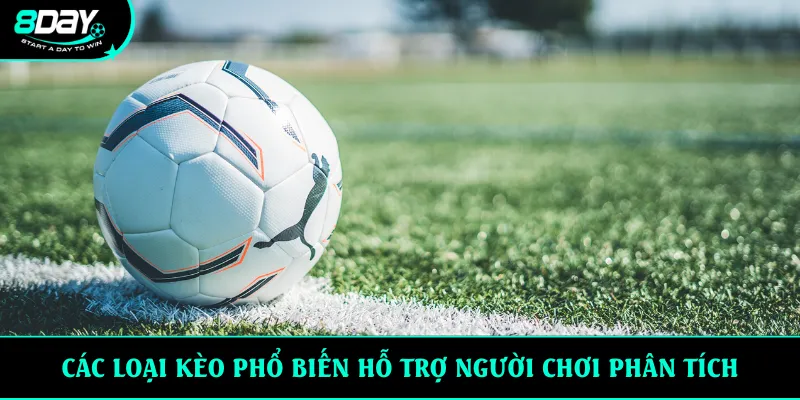 Các loại kèo phổ biến hỗ trợ người chơi phân tích