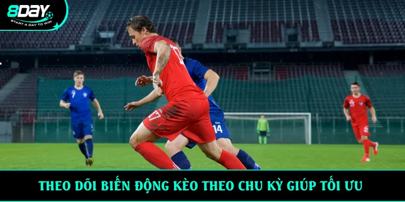 Theo dõi biến động kèo theo chu kỳ giúp tối ưu 
