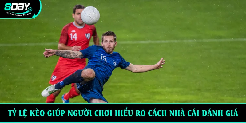 Tỷ lệ kèo giúp người chơi hiểu rõ cách nhà cái đánh giá
